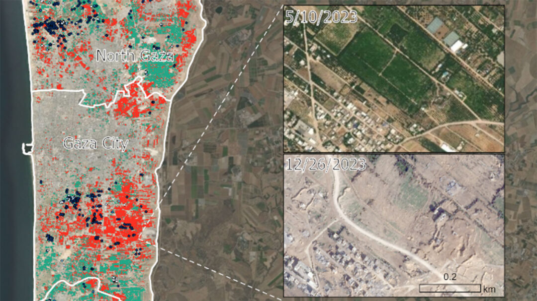 δεν-έχει-μείνει-τίποτα-στη-γάζα-δο-562971127