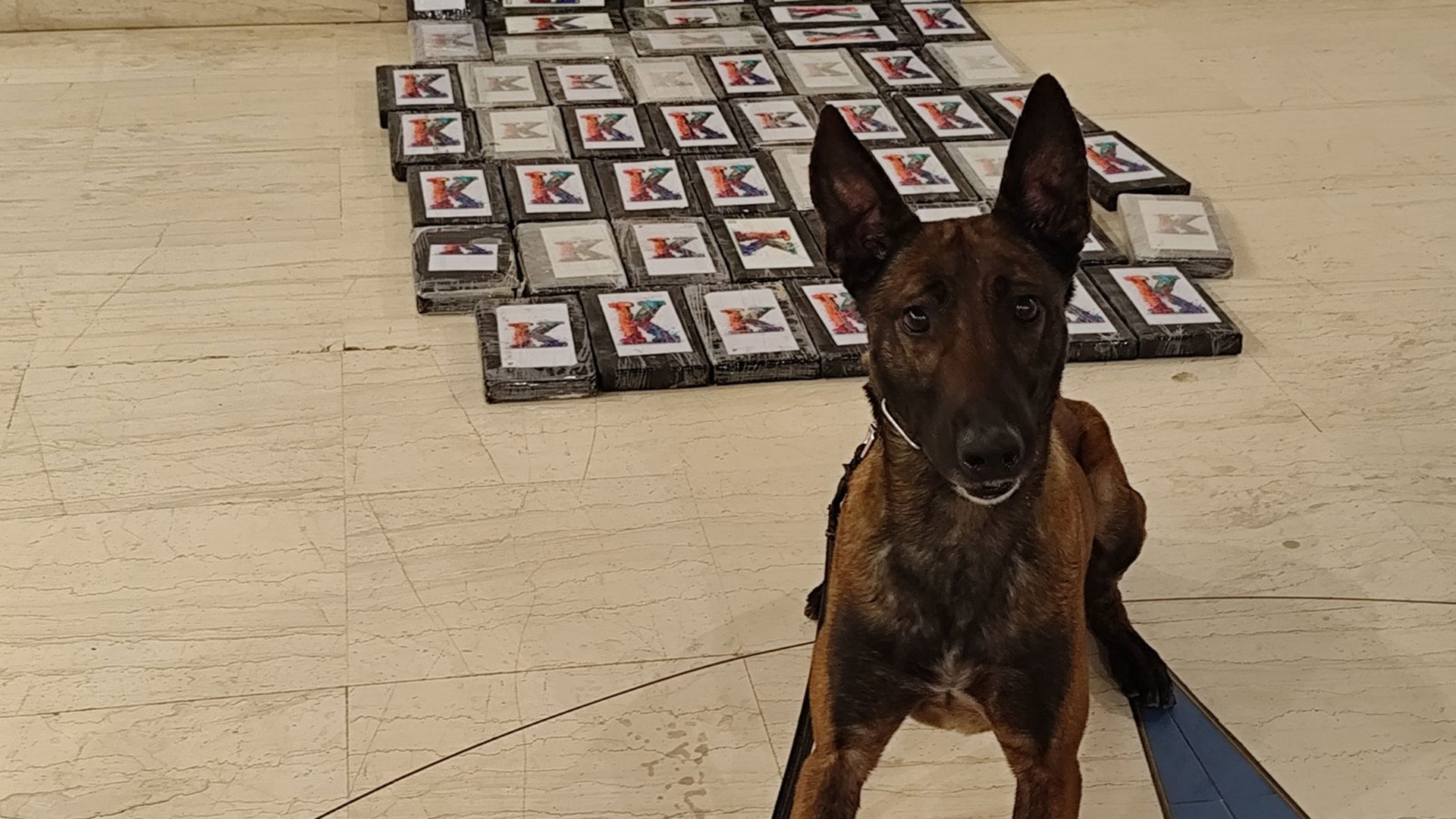 Ηγουμενίτσα: Κοκαΐνη αξίας 2 εκατ. ευρώ εντόπισε το Λιμενικό-1