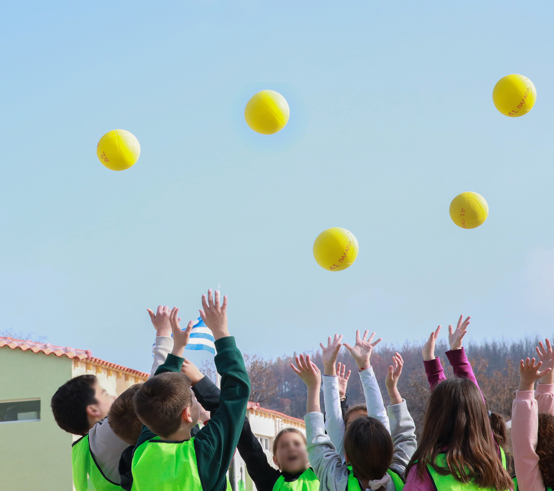 Δημοτικό σχολείο Παλαγίας: Ενα «λουλούδι» που ανθίζει στα καμένα-2