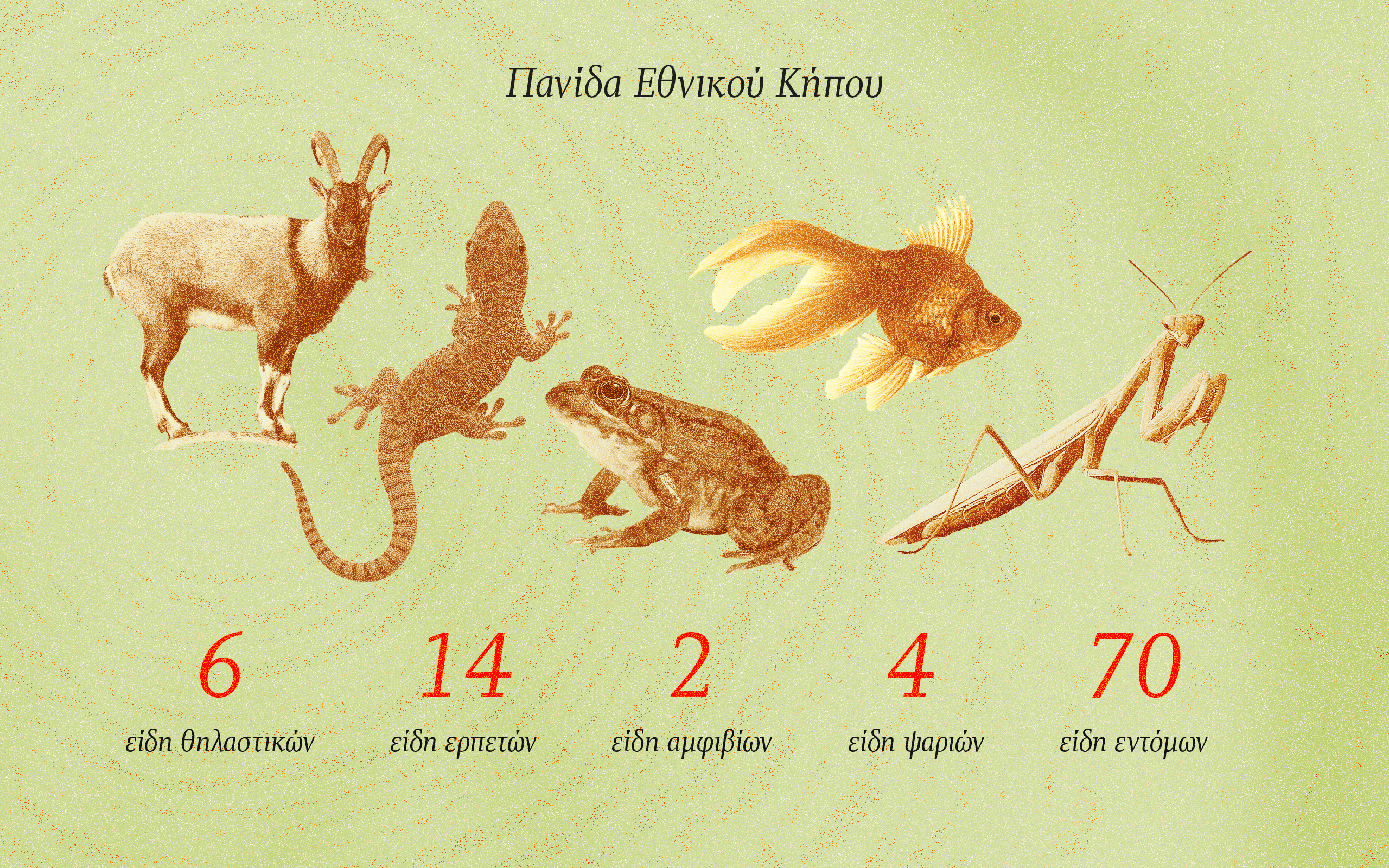 Οι ρίζες του Εθνικού Κήπου-2