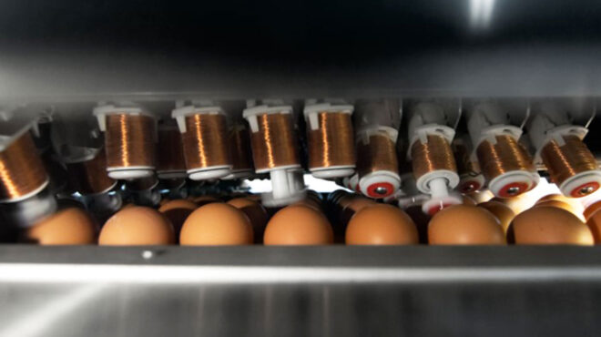 η-πτηνοτροφική-ιωαννίνων-επενδύει-562998157