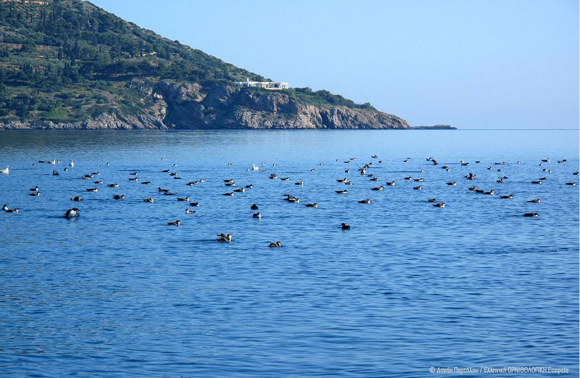 Το καθημερινό ταξίδι του μύχου στην Κριμαία-1