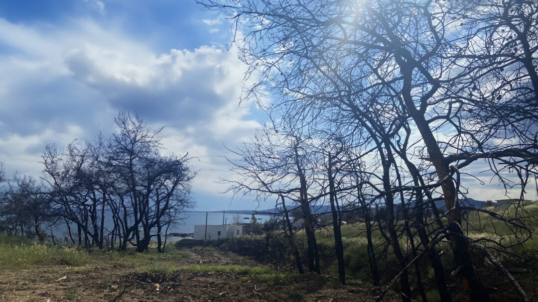 η-πρώτη-σεζόν-μετά-την-καταστροφική-πυ-562976515