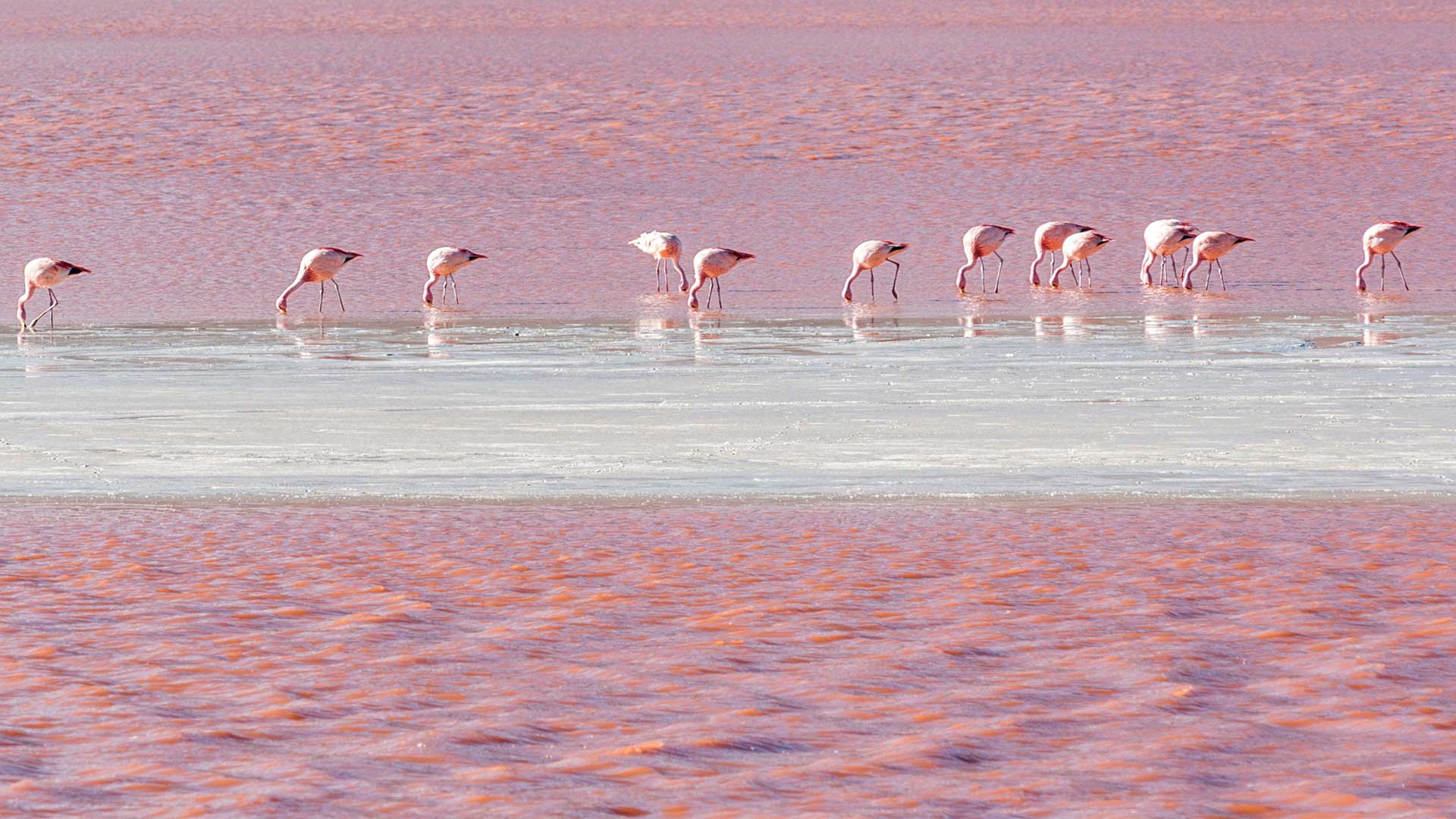 Οι 5 πιο εντυπωσιακές λίμνες του πλανήτη-3