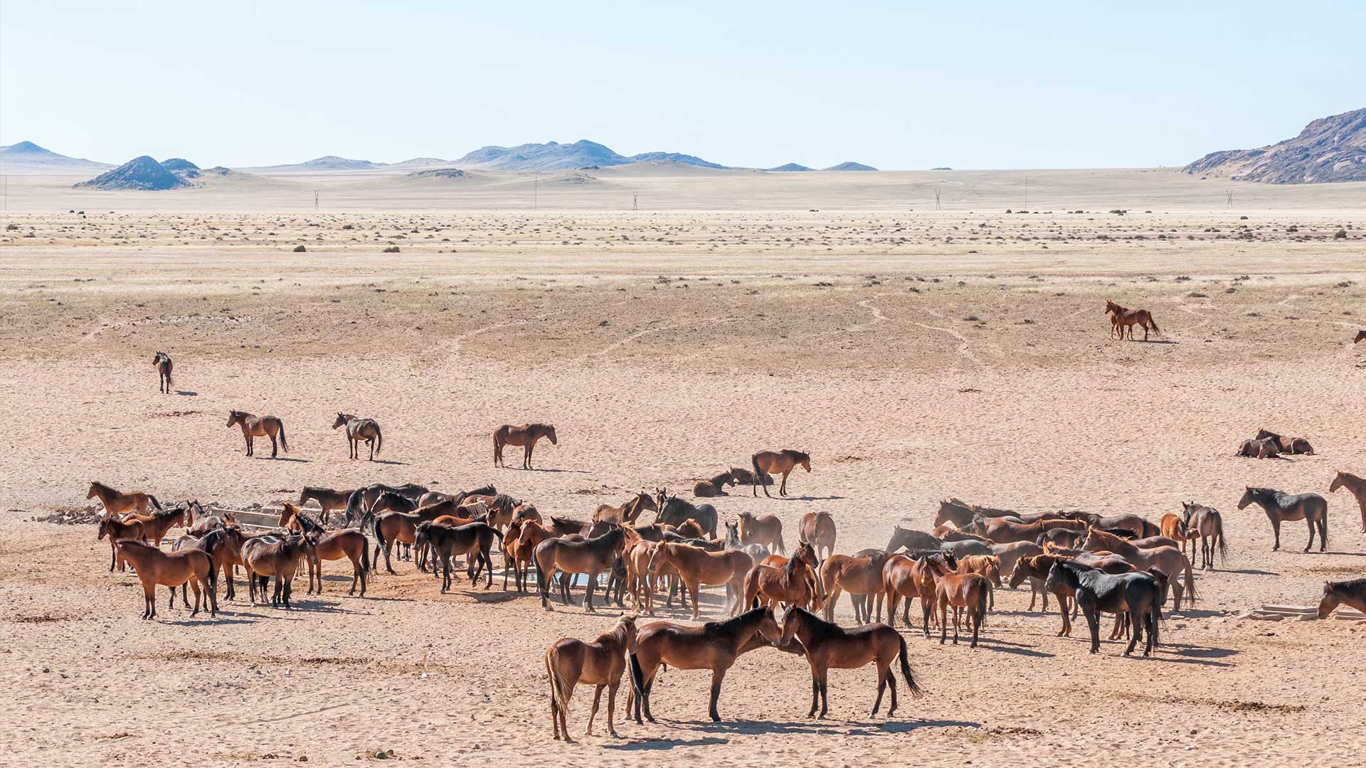 Διακοπές στην έρημο: 5 εμπειρίες glamping στη μέση του πουθενά-5
