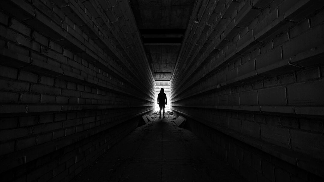 οταν-πεθαίνουμε-ο-εγκέφαλός-μας-είνα-562989013