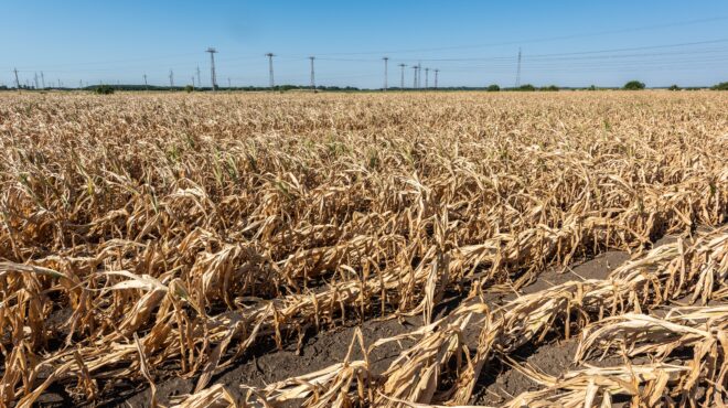 η-κλιματική-κρίση-φέρνει-μείωση-20-στο-μ-562985530