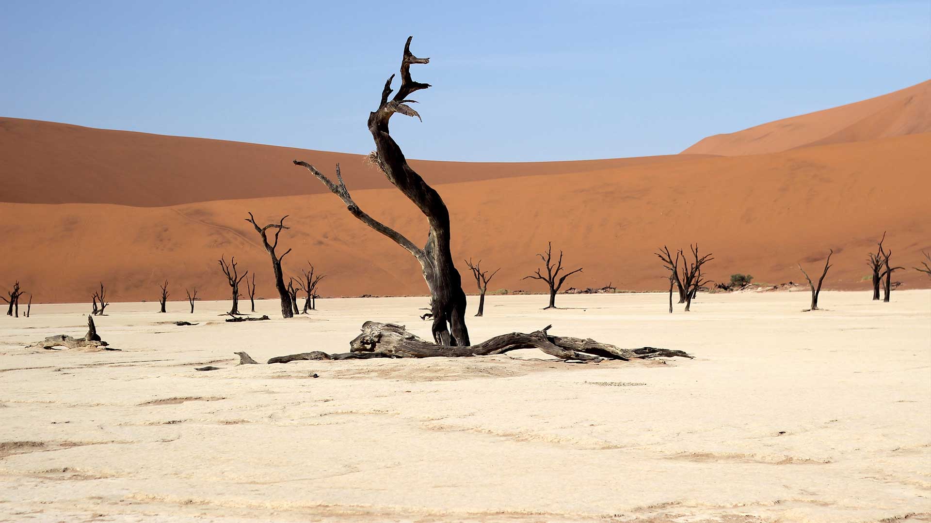 Διακοπές στην έρημο: 5 εμπειρίες glamping στη μέση του πουθενά-4