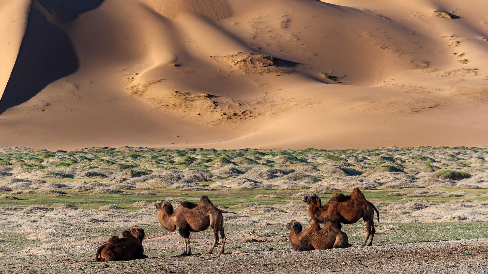 Διακοπές στην έρημο: 5 εμπειρίες glamping στη μέση του πουθενά-3