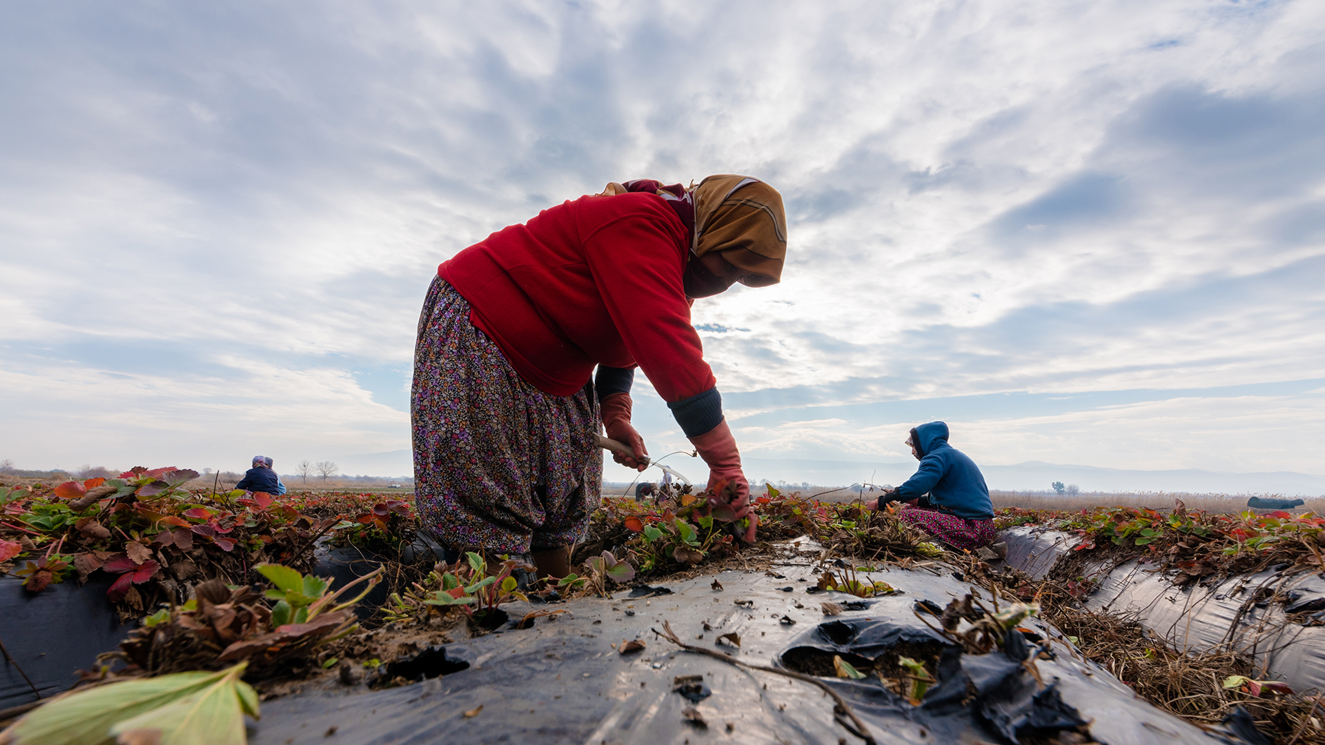 14.000 άδειες εργασίας σε μετανάστες-2