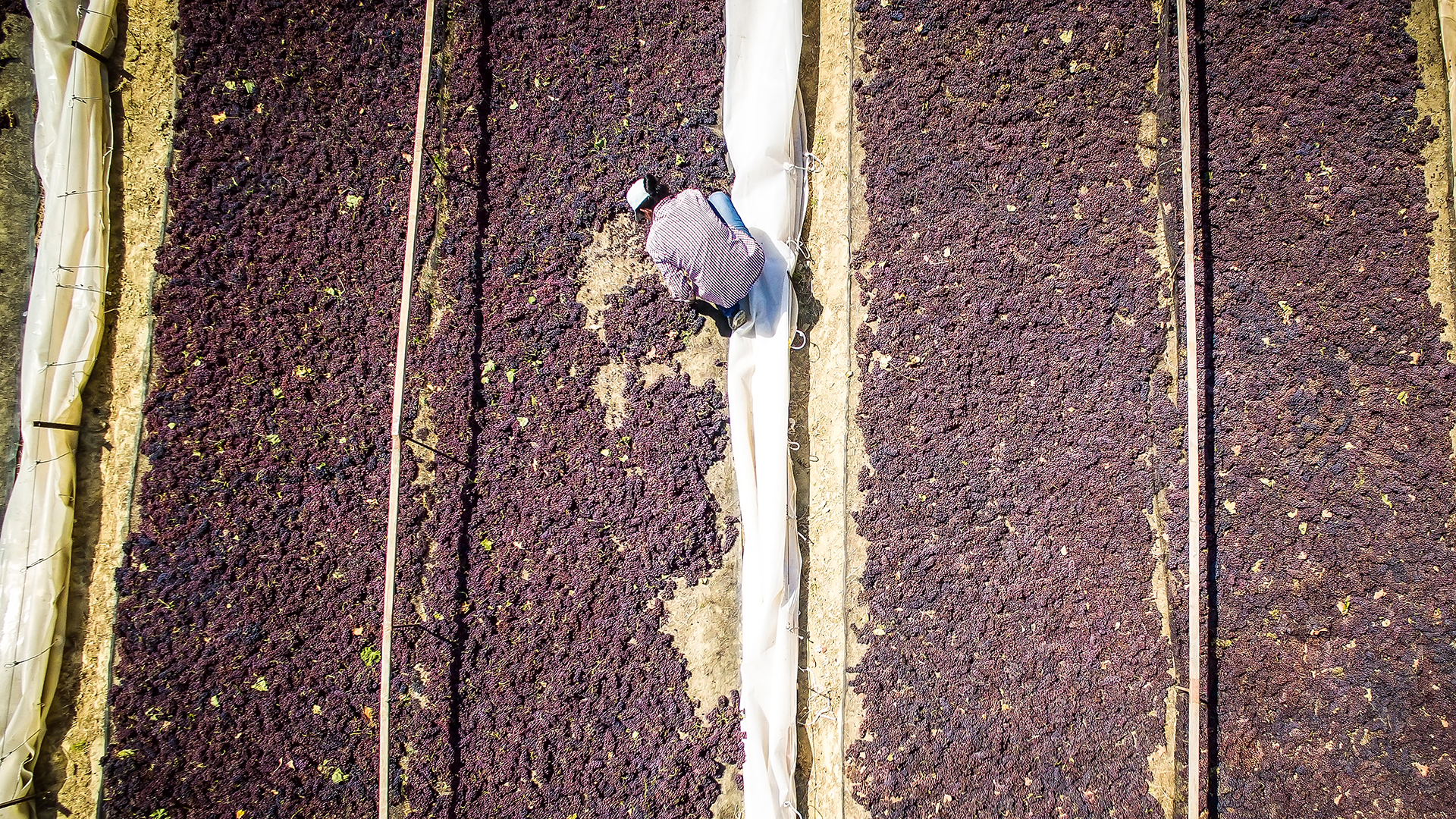 14.000 άδειες εργασίας σε μετανάστες-1