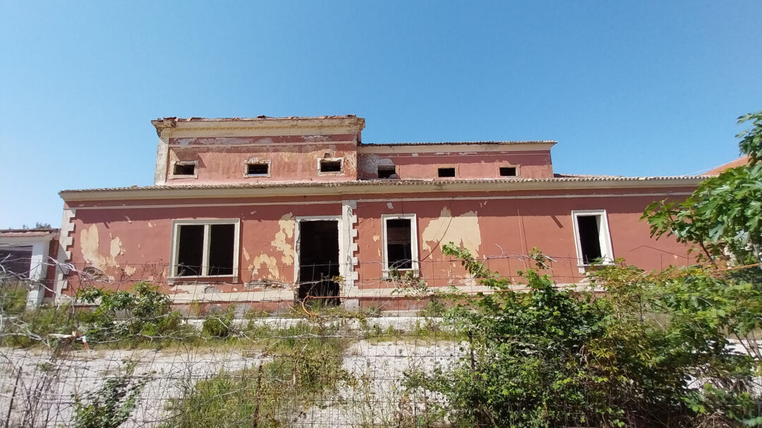 ο-φοίνικας-της-κέρκυρας-στο-κλουβί-τ-562986871