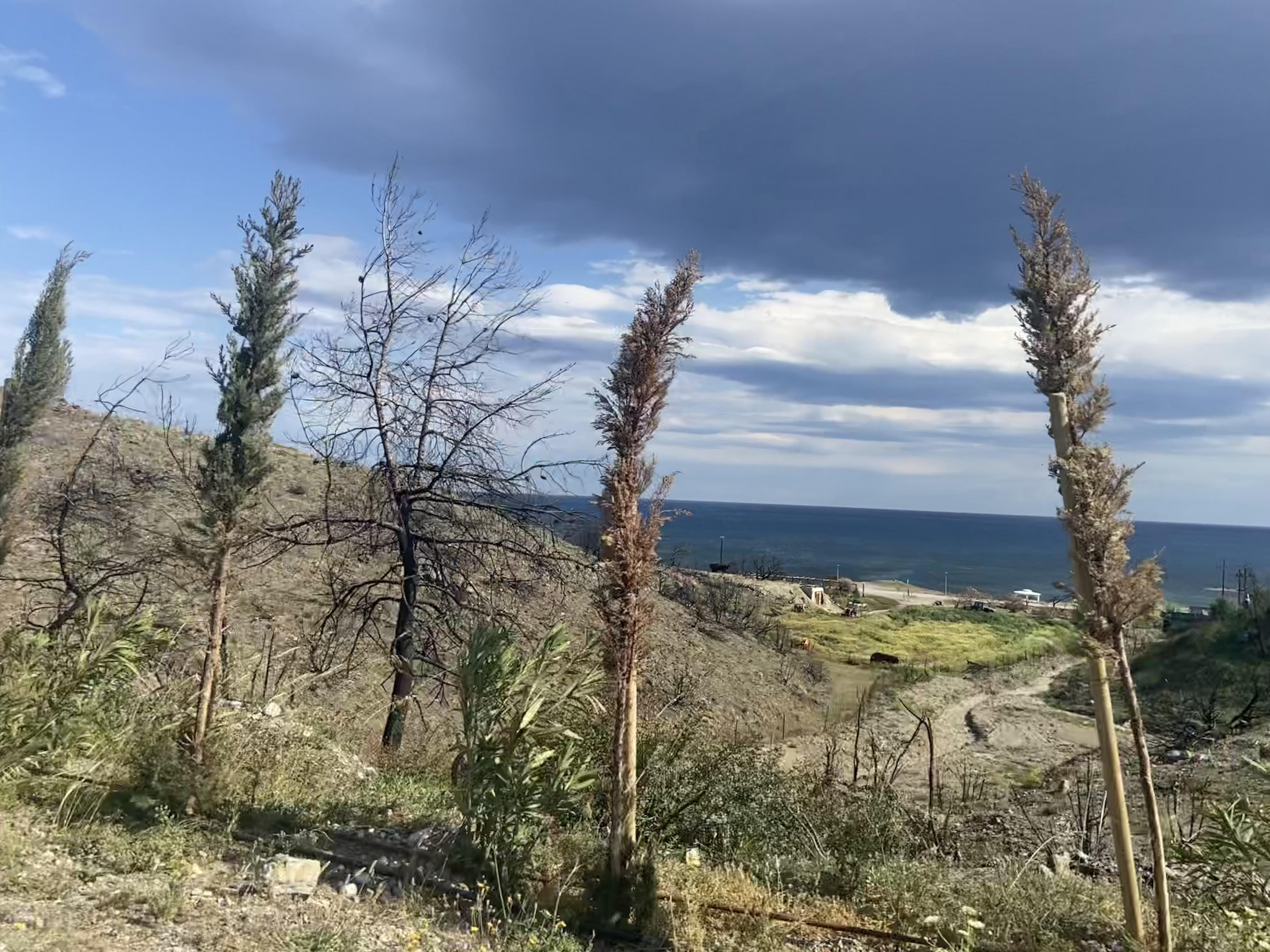 Η πρώτη σεζόν μετά την καταστροφική πυρκαγιά – Το διπλό στοίχημα της Ρόδου-4