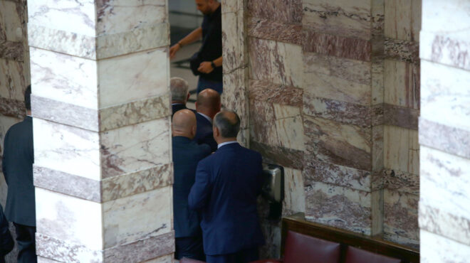 ξυλοδαρμός-στη-βουλή-ελεύθερος-ο-βουλ-562997146