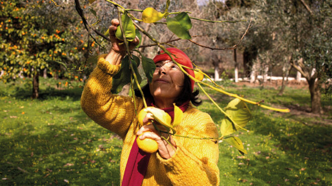 πάσχα-στην-ανδρο-11-συνταγές-από-ντόπιο-563011108