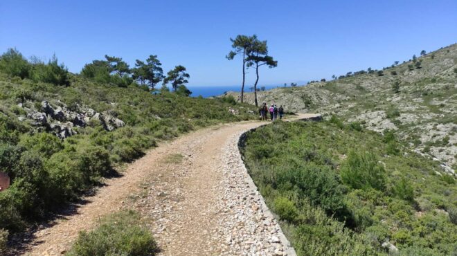 χίος-η-ενιαία-διαδρομή-92-χλμ-που-θα-αγαπ-563019097