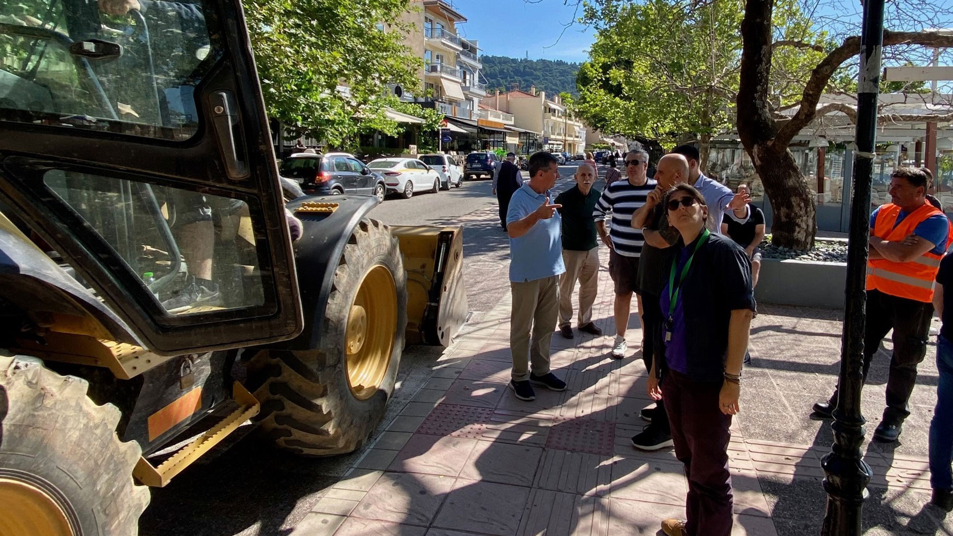 Αγώνας δρόμου για τα άρρωστα πλατάνια στη Ναύπακτο-1