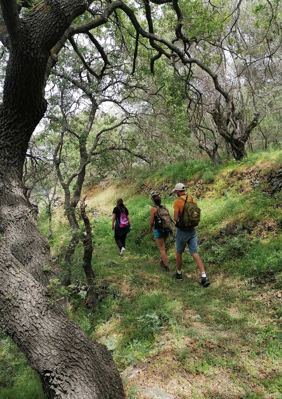 Χίος: Η ενιαία διαδρομή 92 χλμ. που θα αγαπήσουν οι φίλοι του trekking-4