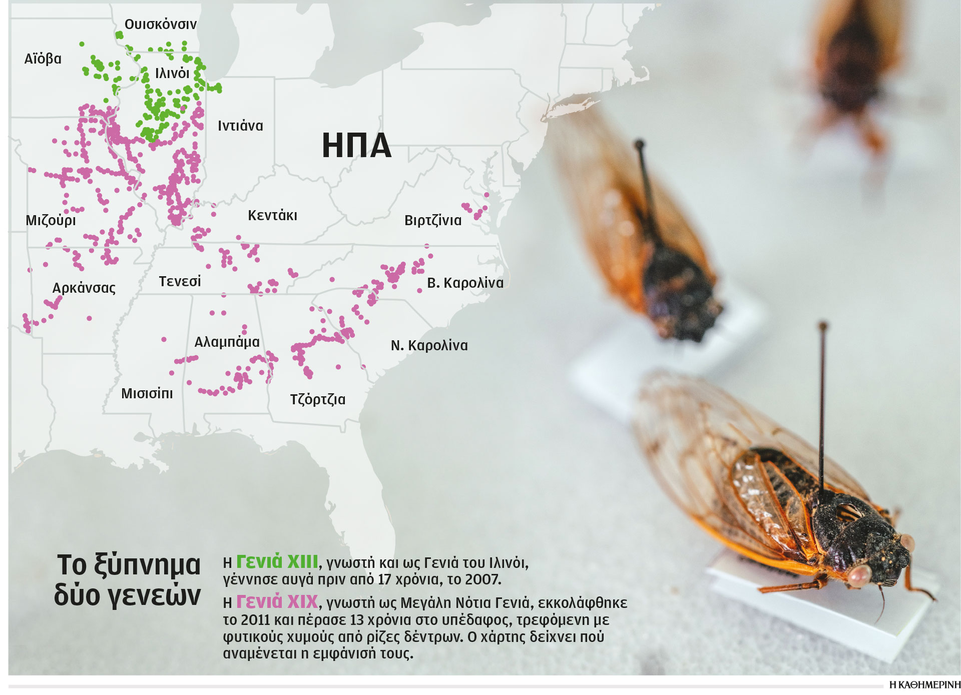 ΗΠΑ: Αρμαγεδδών τζιτζικιών σε 12 πολιτείες-1