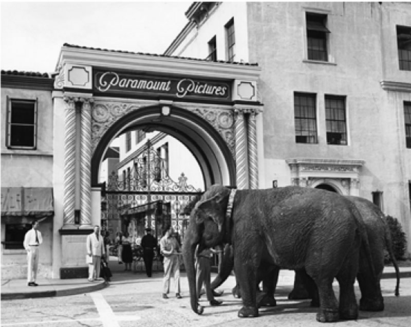 Τα βασιλικά πορτρέτα στο Μπάκιγχαμ αφηγούνται-2