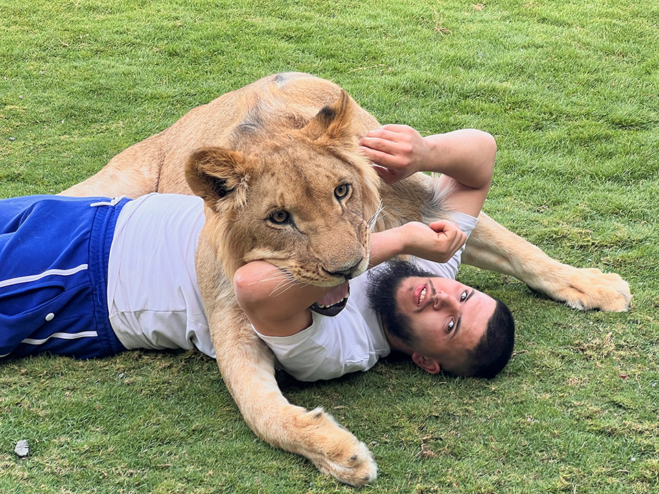 Η πληγή του Ράκους και η θεραπεία του-2