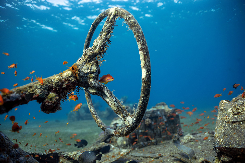 Διαβάζοντας για τις ζωές των άλλων-3