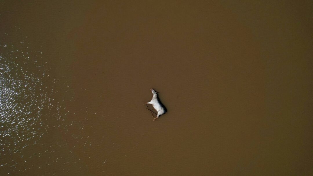 πλημμύρες-στη-βραζιλία-τα-νερά-υποχωρ-563025991