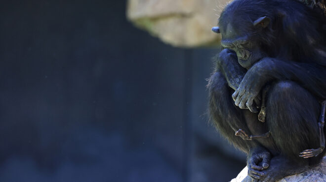 natalia-μια-μητέρα-σε-πένθος-563035990