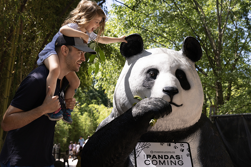 Είναι ο καθρέπτης μας η Ισπανία;-3