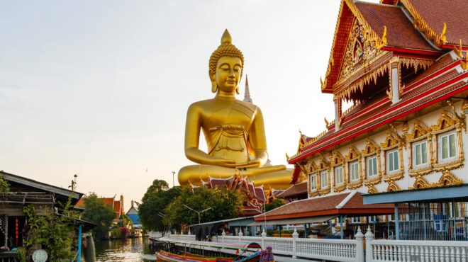 φτερά-ενός-παγωνιού-563031973