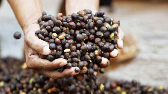 δεύτερο-ακριβότερο-μετά-την-ισπανία-τ-563040928