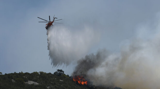 αργολίδα-φωτιά-στην-περιοχή-προσύμνη-563012881