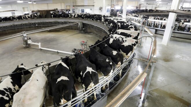 εξαρθρώθηκε-κύκλωμα-με-εικονικές-σφα-563019877