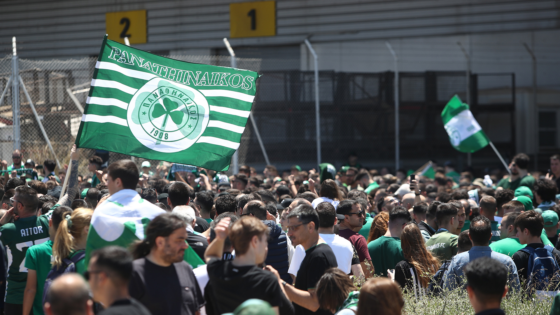 Παναθηναϊκός: «Πράσινο» βάφτηκε το «Ελ. Βενιζέλος» – Εικόνες και βίντεο από την υποδοχή των πρωταθλητών Ευρώπης-2
