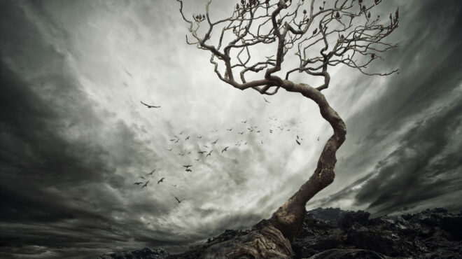 γυναίκα-γεμάτη-πόνο-και-πείσμα-563032756