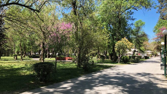 καρδίτσα-μια-αχρείαστη-ανάπλαση-563008312