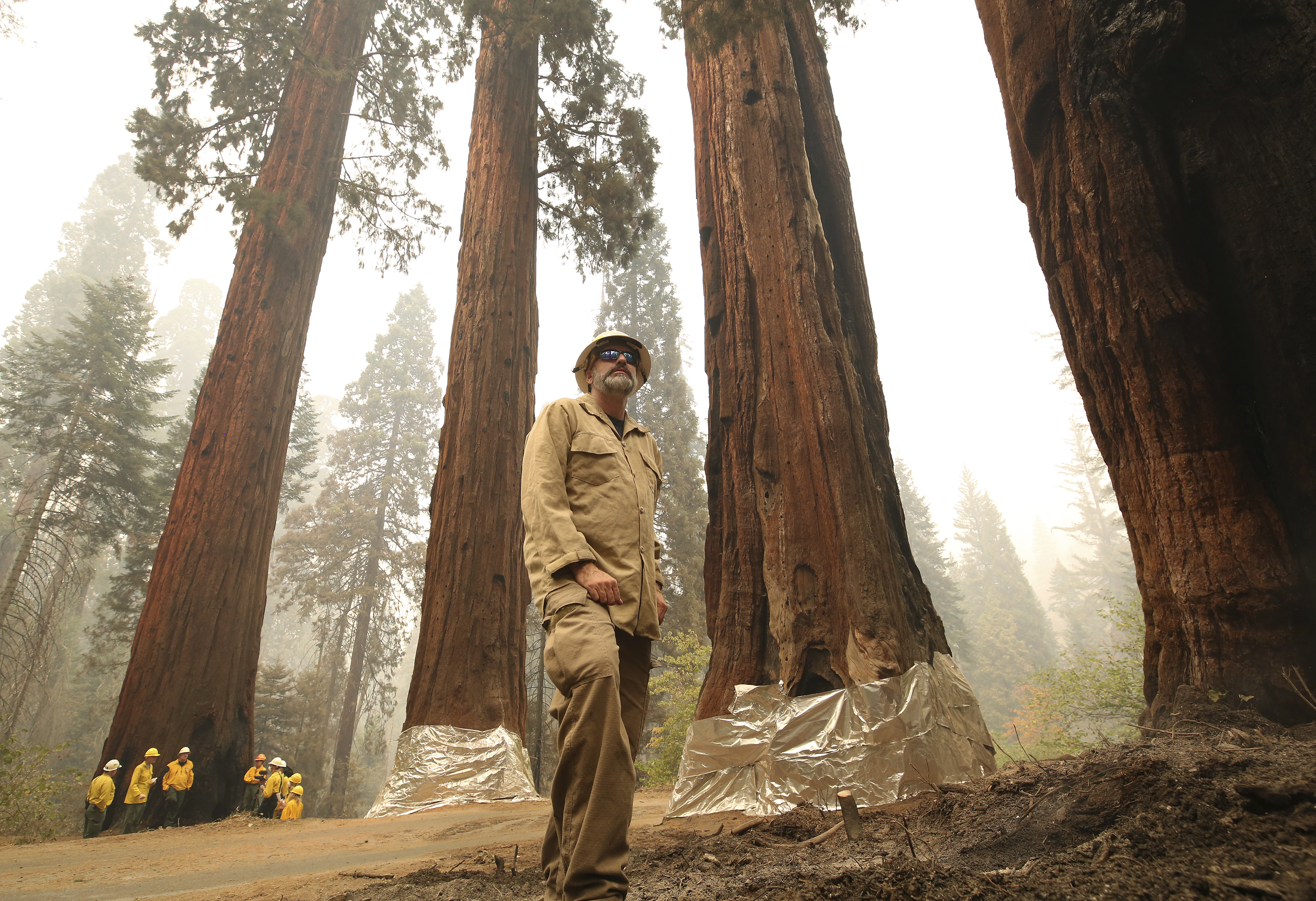 Ο «Στρατηγός Σέρμαν» πέρασε το «τσεκάπ» – Οι γιγάντιες σεκόγιες, όμως, εκπέμπουν SOS-3