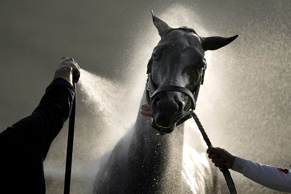 Η πληγή του Ράκους και η θεραπεία του-1