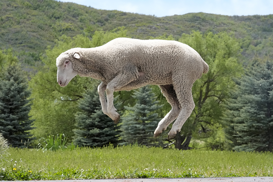 Μαζική ευτυχία;-2