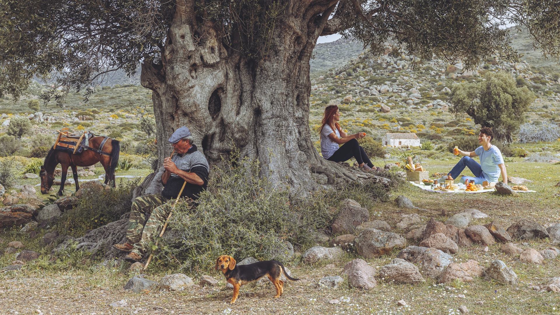 5+1 λόγοι για μια ανοιξιάτικη μονοήμερη εκδρομή στην Αίγινα-2