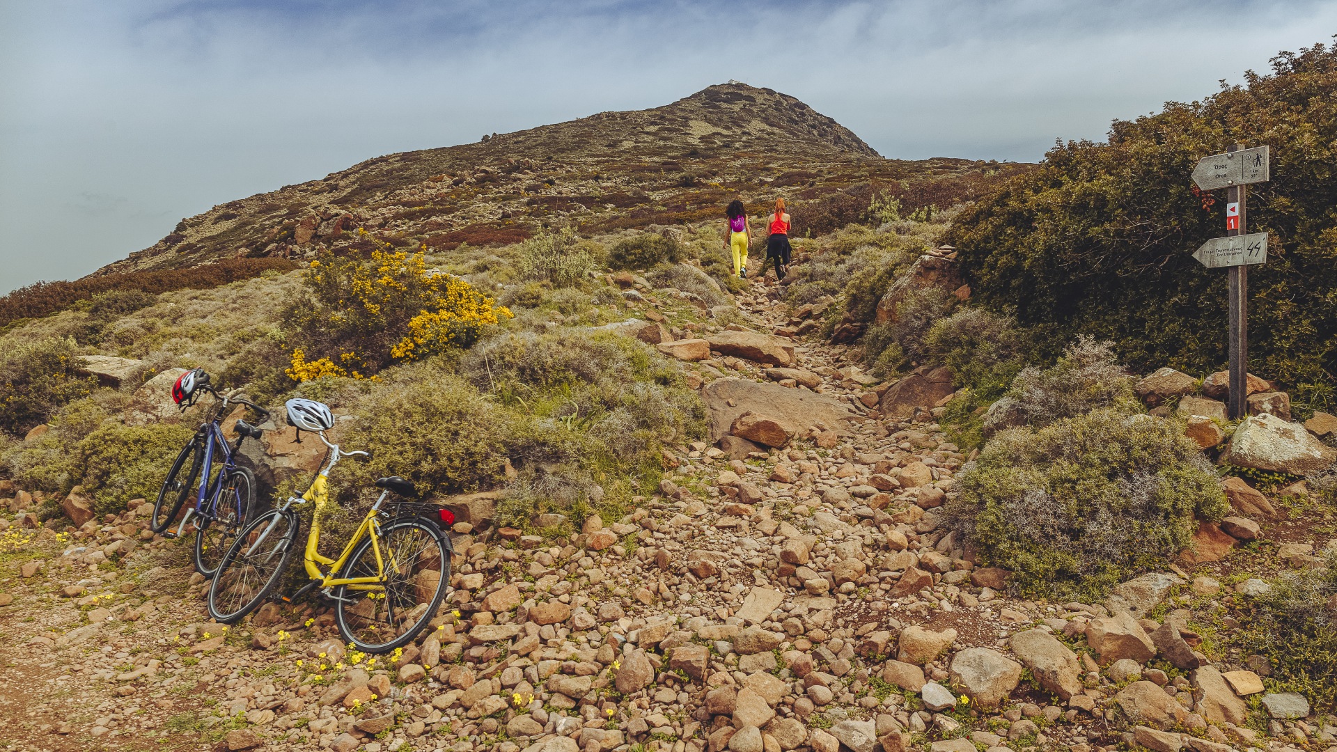 5+1 λόγοι για μια ανοιξιάτικη μονοήμερη εκδρομή στην Αίγινα-3