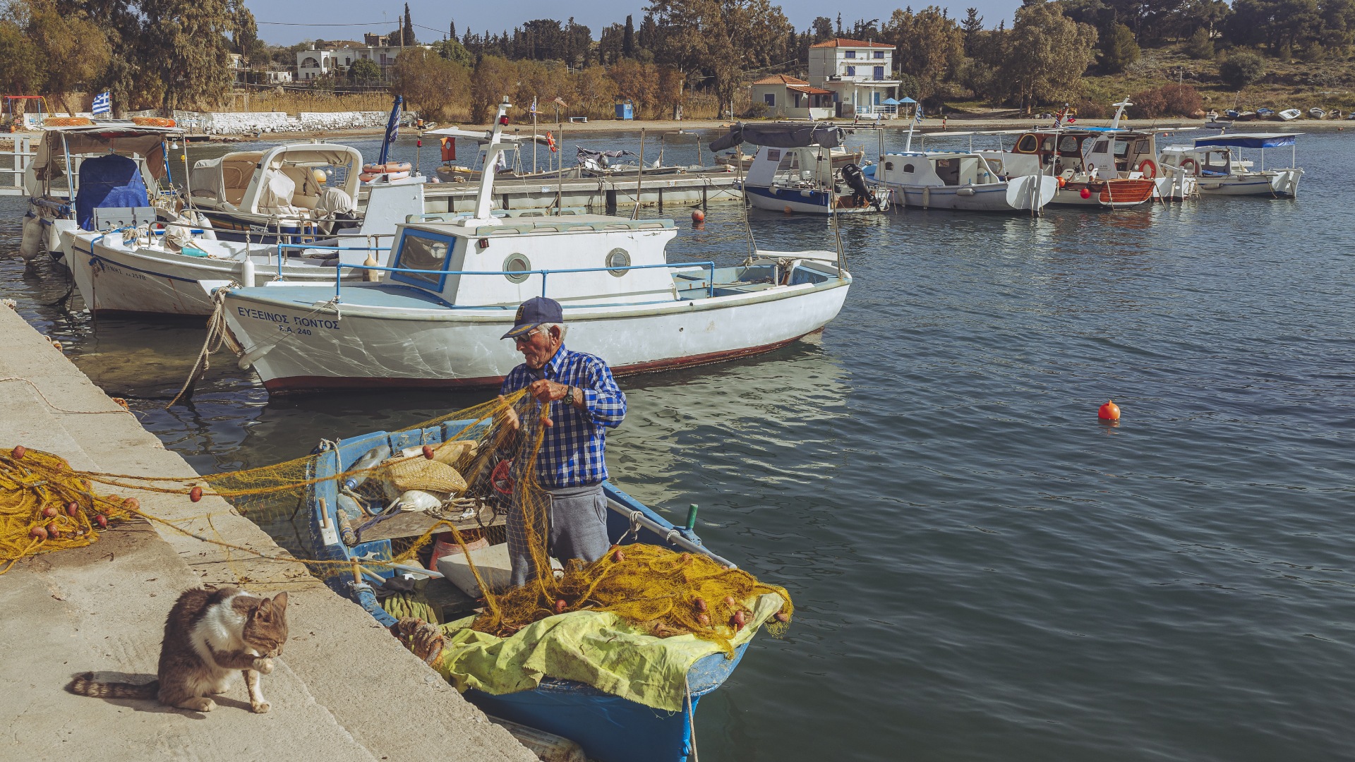 5+1 λόγοι για μια ανοιξιάτικη μονοήμερη εκδρομή στην Αίγινα-5