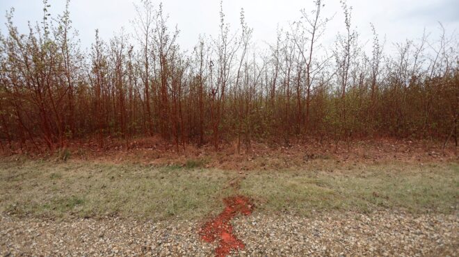 καναδάς-η-βροχή-φρενάρει-τη-γιγάντια-π-563029513