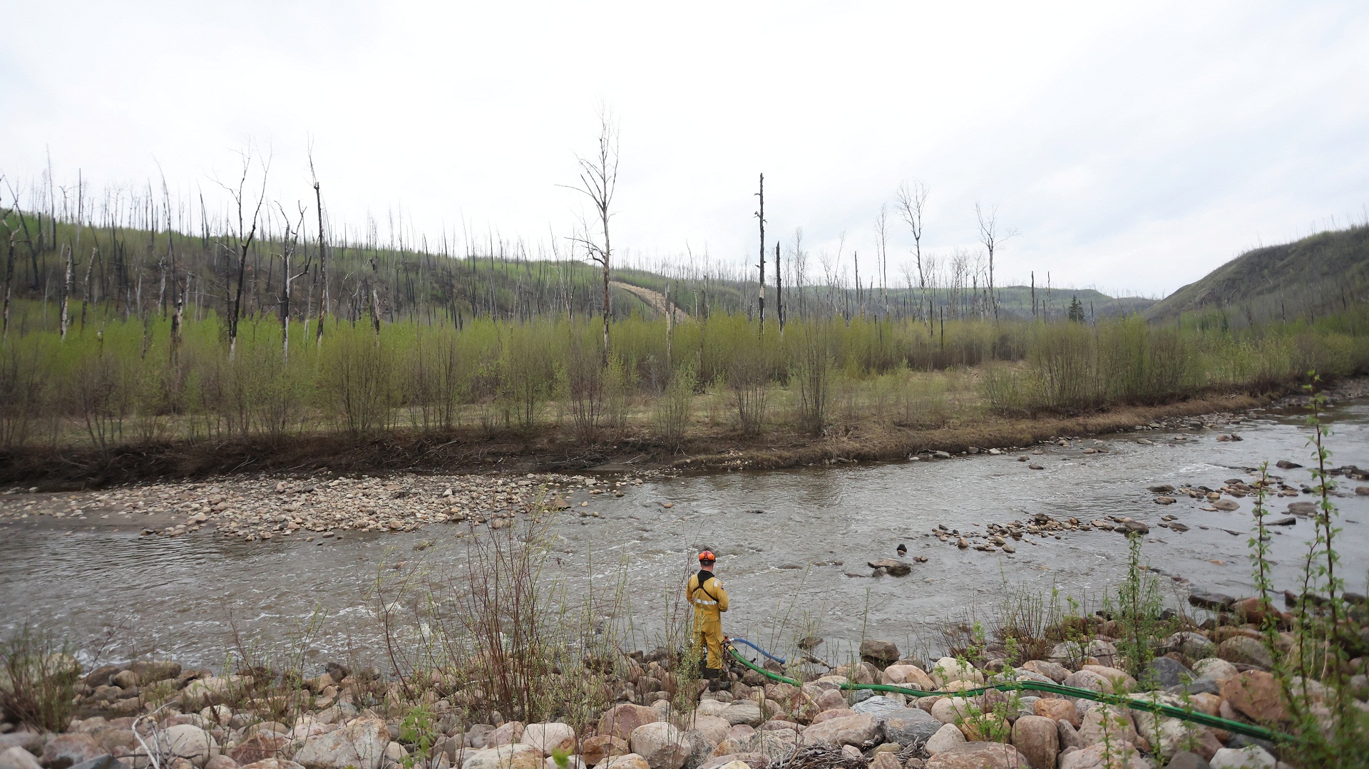 Καναδάς: Η βροχή φρενάρει τη γιγάντια πυρκαγιά-1