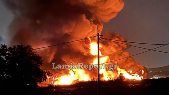 λαμία-εισαγγελική-παραγγελία-για-να-δ-563033725