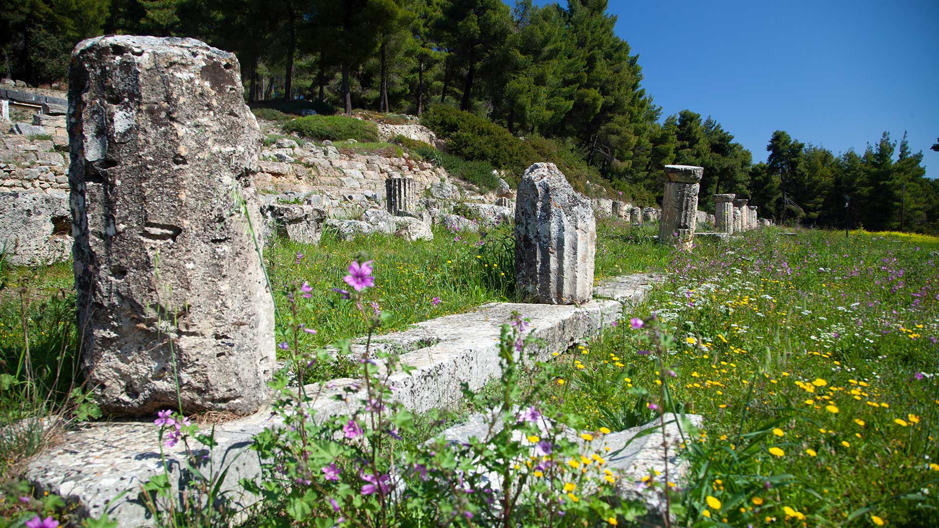 ανοιξη-σε-τρεις-άγνωστους-αρχαιολογι-563022661