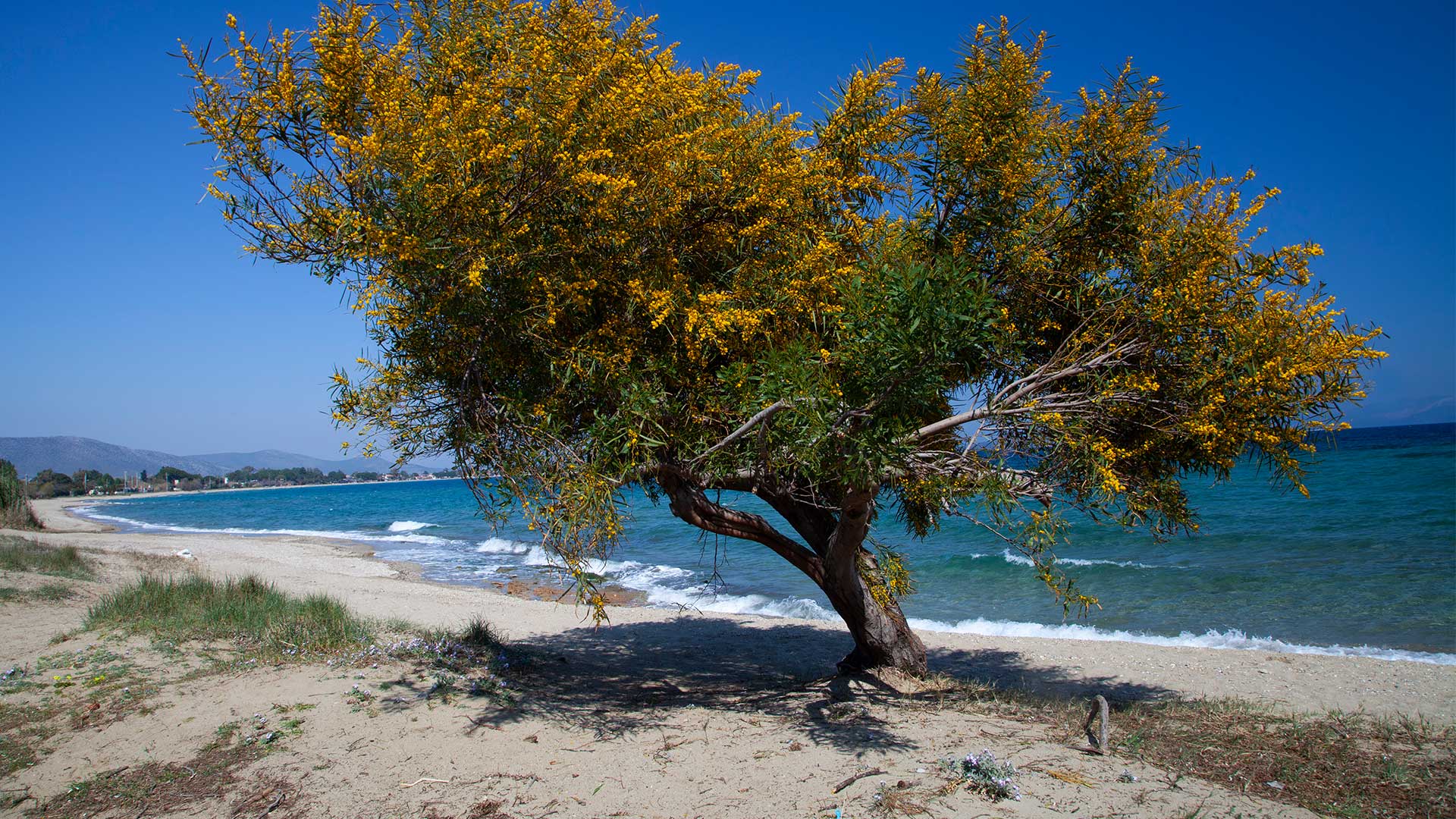 Ανοιξη σε τρεις άγνωστους αρχαιολογικούς χώρους της Αττικής-5