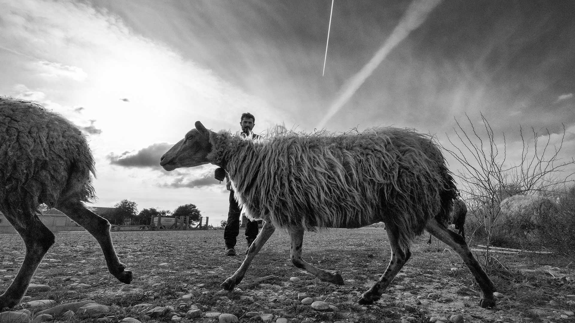Με το βλέμμα του Νίκου Αλιάγα-3