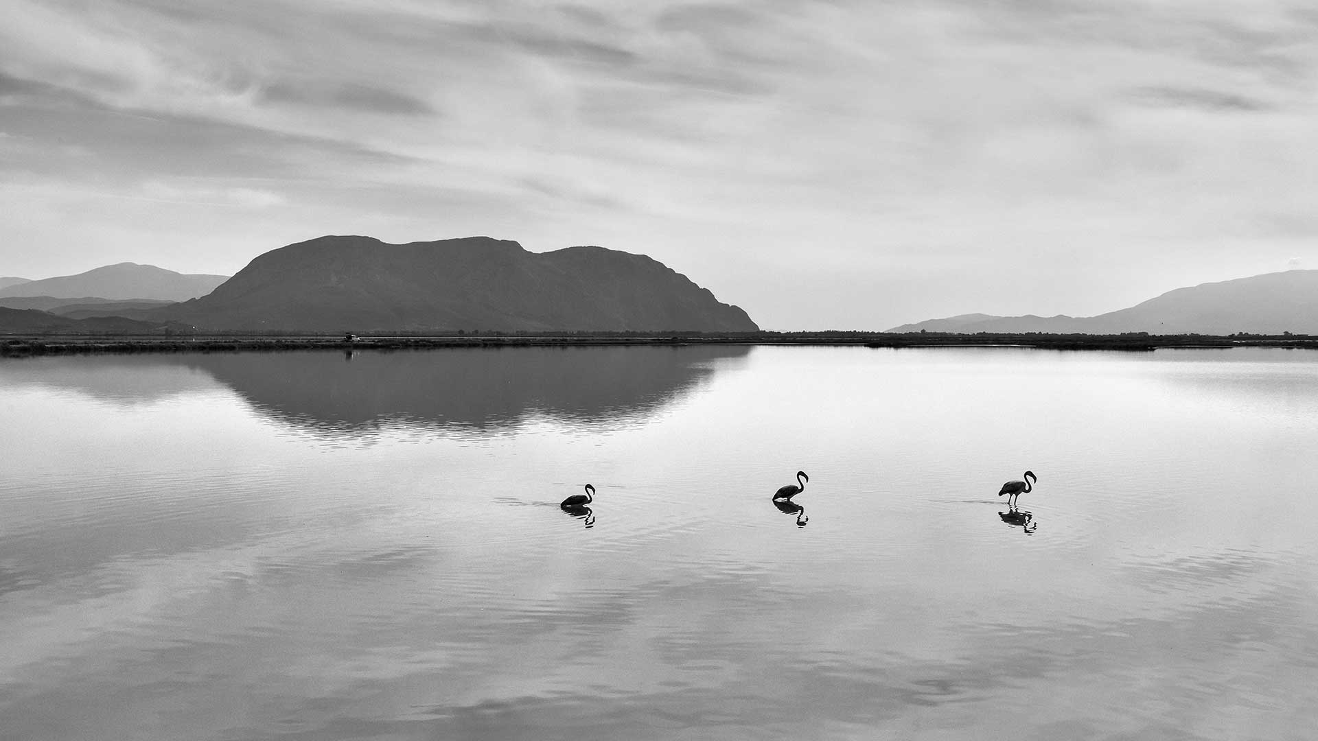 Με το βλέμμα του Νίκου Αλιάγα-6