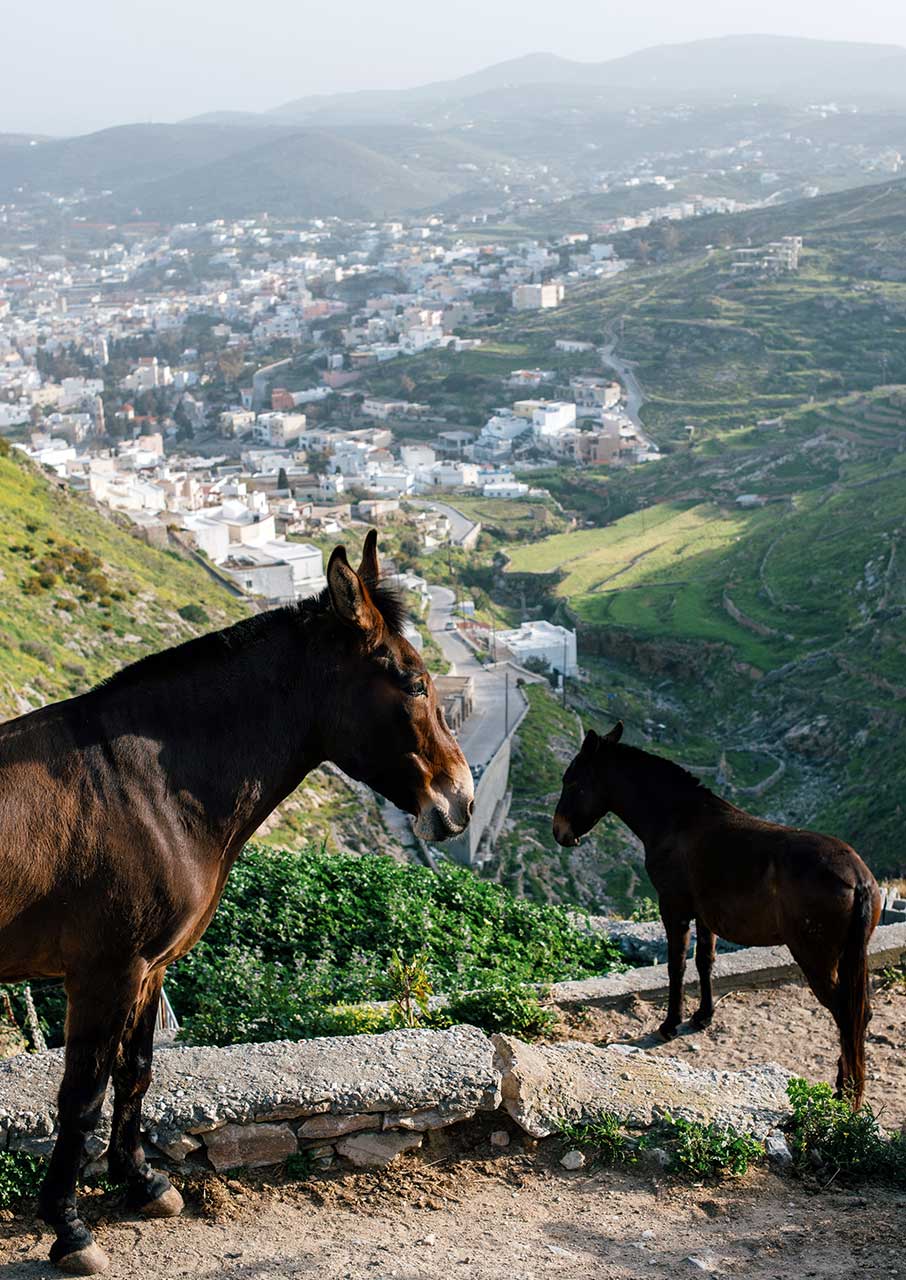 Ενα Σαββατοκύριακο στην ανοιξιάτικη Σύρο-3